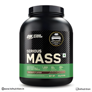 ON (Optimum Nutrition) Serious Mass, 3 kg (6.6 lb), Chocolate